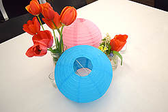 SPRING HAS SPRUNG BAT MITZVAH